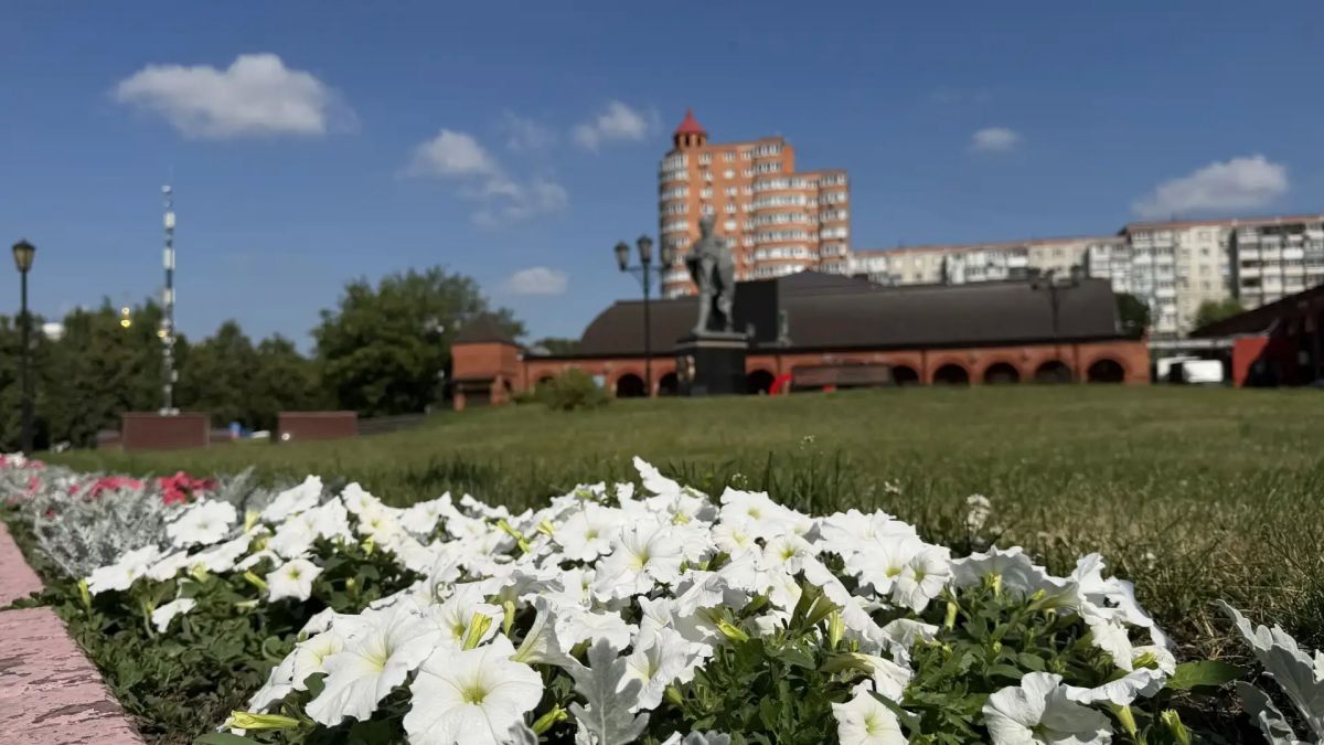 Более 50 тысяч однолетних цветов украсили городские клумбы в Дзержинском городского округа Люберцы Более 50 тысяч однолетних цветов украсили городские клумбы в Дзержинском городского округа Люберцы