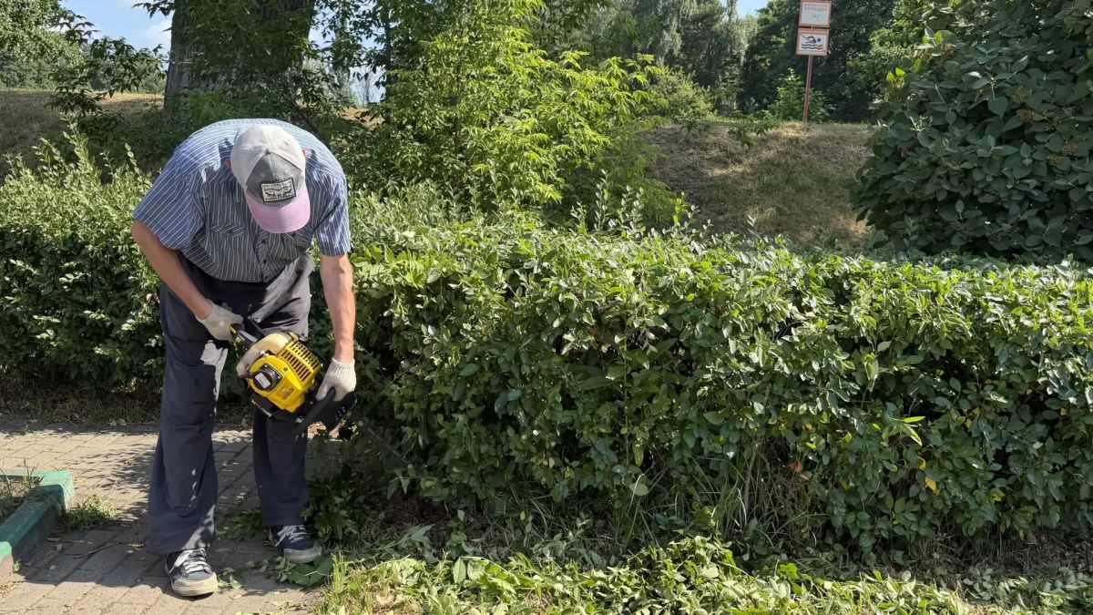 Более 50 тысяч однолетних цветов украсили городские клумбы в Дзержинском городского округа Люберцы Более 50 тысяч однолетних цветов украсили городские клумбы в Дзержинском городского округа Люберцы