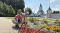 Более 50 тысяч однолетних цветов украсили городские клумбы в Дзержинском городского округа Люберцы