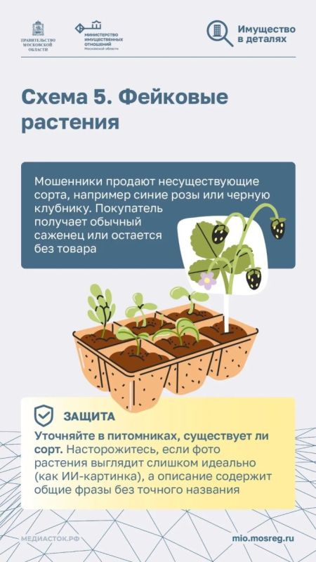 Злоумышленники постоянно совершенствуют свои методы обмана, особенно в дачный сезон Злоумышленники постоянно совершенствуют свои методы обмана, особенно в дачный сезон