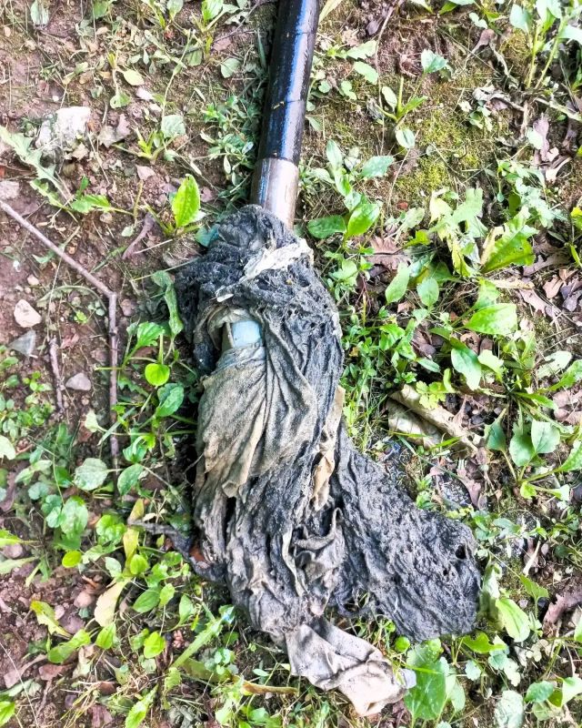 В июне специалисты АО «Водоканал» ликвидировали 193 засора в канализационных сетях В июне специалисты АО «Водоканал» ликвидировали 193 засора в канализационных сетях