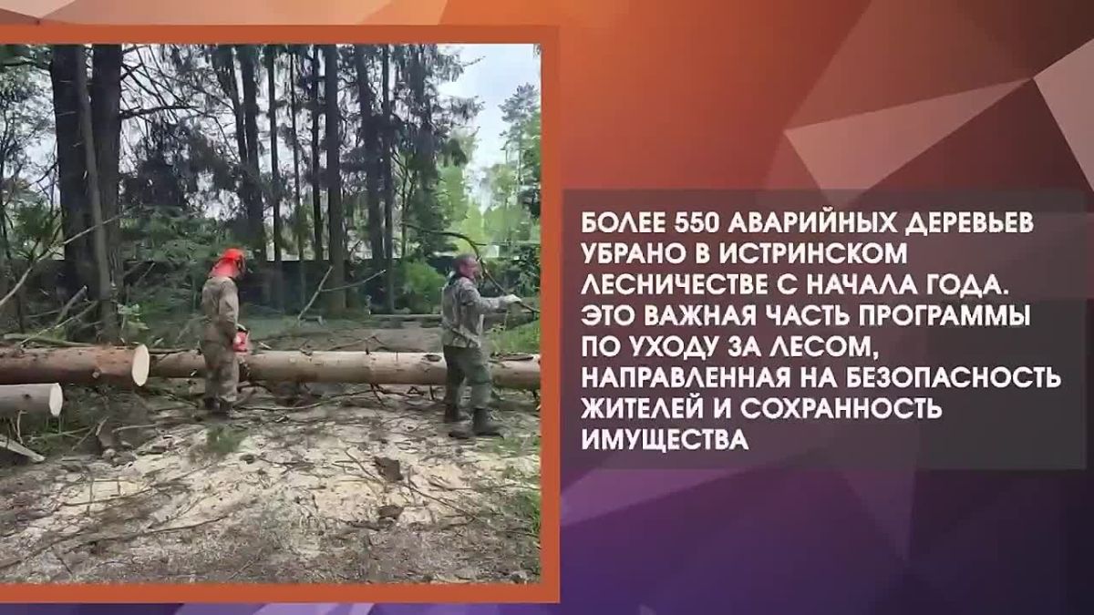 Татьяна Витушева: #дайджестдня. Сотрудники МБУ «ДОДХИБ» на прошедшей неделе в рамках содержания детских игровых площадок провели ремонтные мероприятия по ряду адресов в Истре