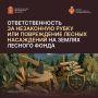 Незаконная рубка лесных насаждений, их повреждение или незаконное выкапывание деревьев и кустарников входят в число самых распространенных нарушений лесного законодательства