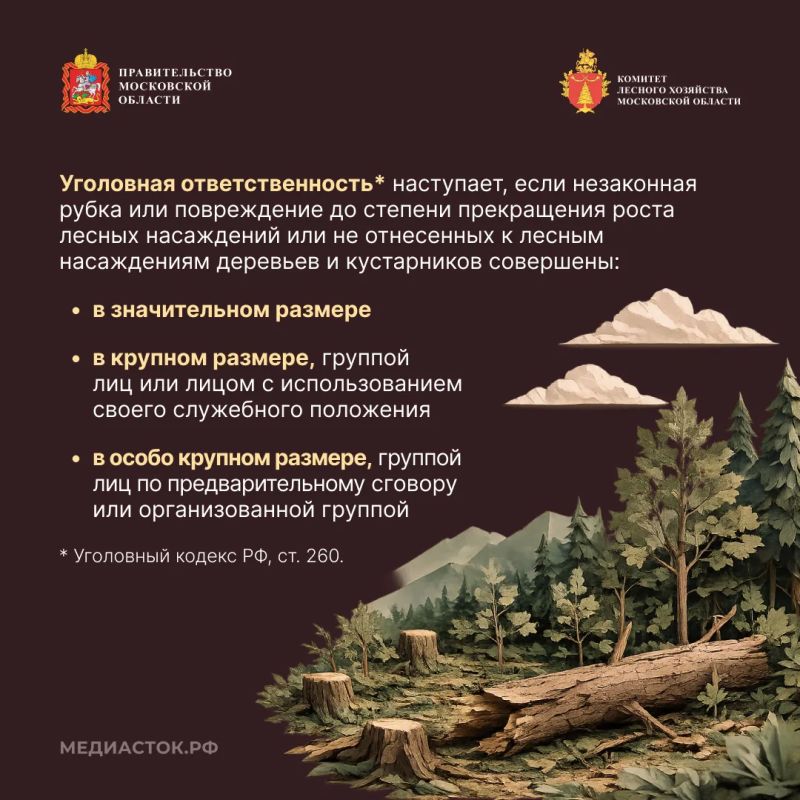 Незаконная рубка лесных насаждений, их повреждение или незаконное выкапывание деревьев и кустарников входят в число самых распространенных нарушений лесного законодательства Незаконная рубка лесных насаждений, их повреждение или незаконное выкапывание деревьев и кустарников входят в число самых распространенных нарушений лесного законодательства