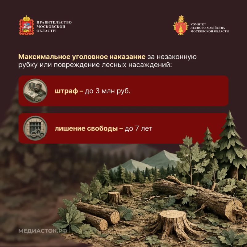 Незаконная рубка лесных насаждений, их повреждение или незаконное выкапывание деревьев и кустарников входят в число самых распространенных нарушений лесного законодательства Незаконная рубка лесных насаждений, их повреждение или незаконное выкапывание деревьев и кустарников входят в число самых распространенных нарушений лесного законодательства