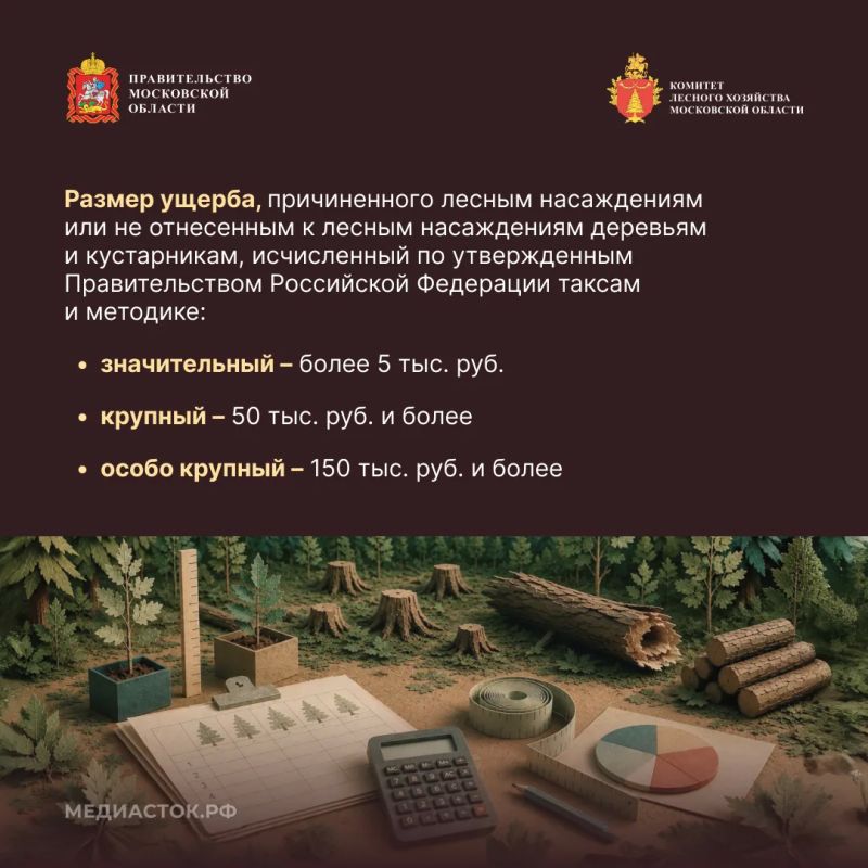 Незаконная рубка лесных насаждений, их повреждение или незаконное выкапывание деревьев и кустарников входят в число самых распространенных нарушений лесного законодательства Незаконная рубка лесных насаждений, их повреждение или незаконное выкапывание деревьев и кустарников входят в число самых распространенных нарушений лесного законодательства