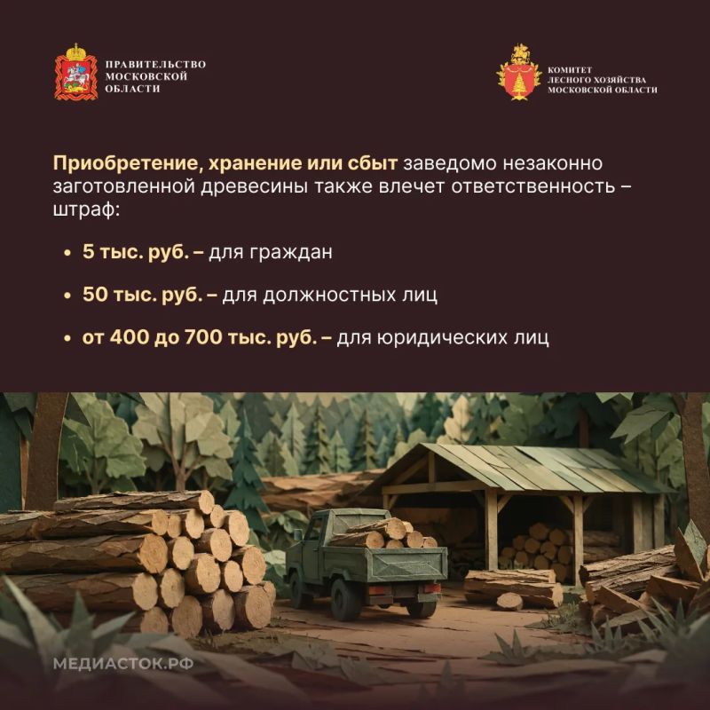 Незаконная рубка лесных насаждений, их повреждение или незаконное выкапывание деревьев и кустарников входят в число самых распространенных нарушений лесного законодательства Незаконная рубка лесных насаждений, их повреждение или незаконное выкапывание деревьев и кустарников входят в число самых распространенных нарушений лесного законодательства