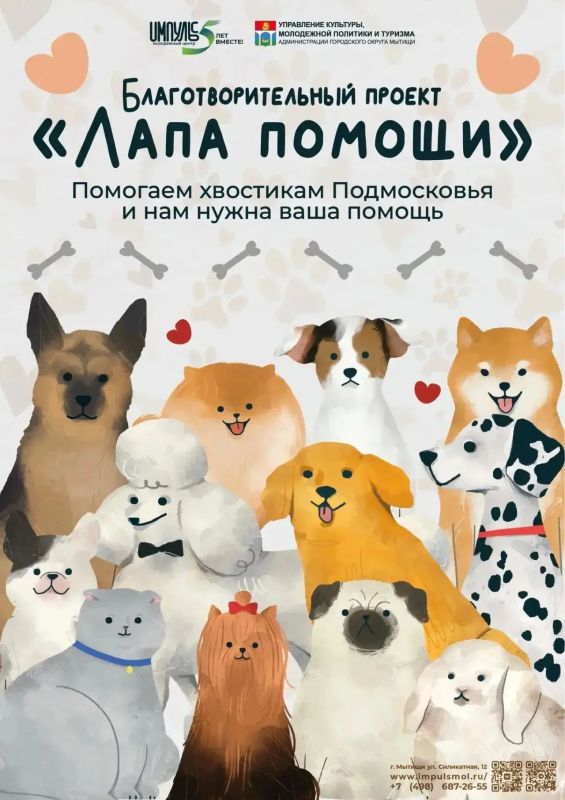 Мытищинский «Импульс» запустил благотворительную акцию «Лапа помощи»
