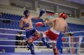 Сборная Московской области стала победителем финала по кикбоксингу XIII летней Спартакиады учащихся России