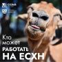 В Московской области c 2021 года свыше 850 предприятий воспользовались нулевой ставкой сельхозналога
