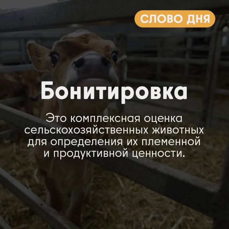 ������� �� �������� ����!. ������ ���� �� �� ����� � ��������� ����������� � � ������ ���� ��� ��������: �� ���������, �� ������� �����������