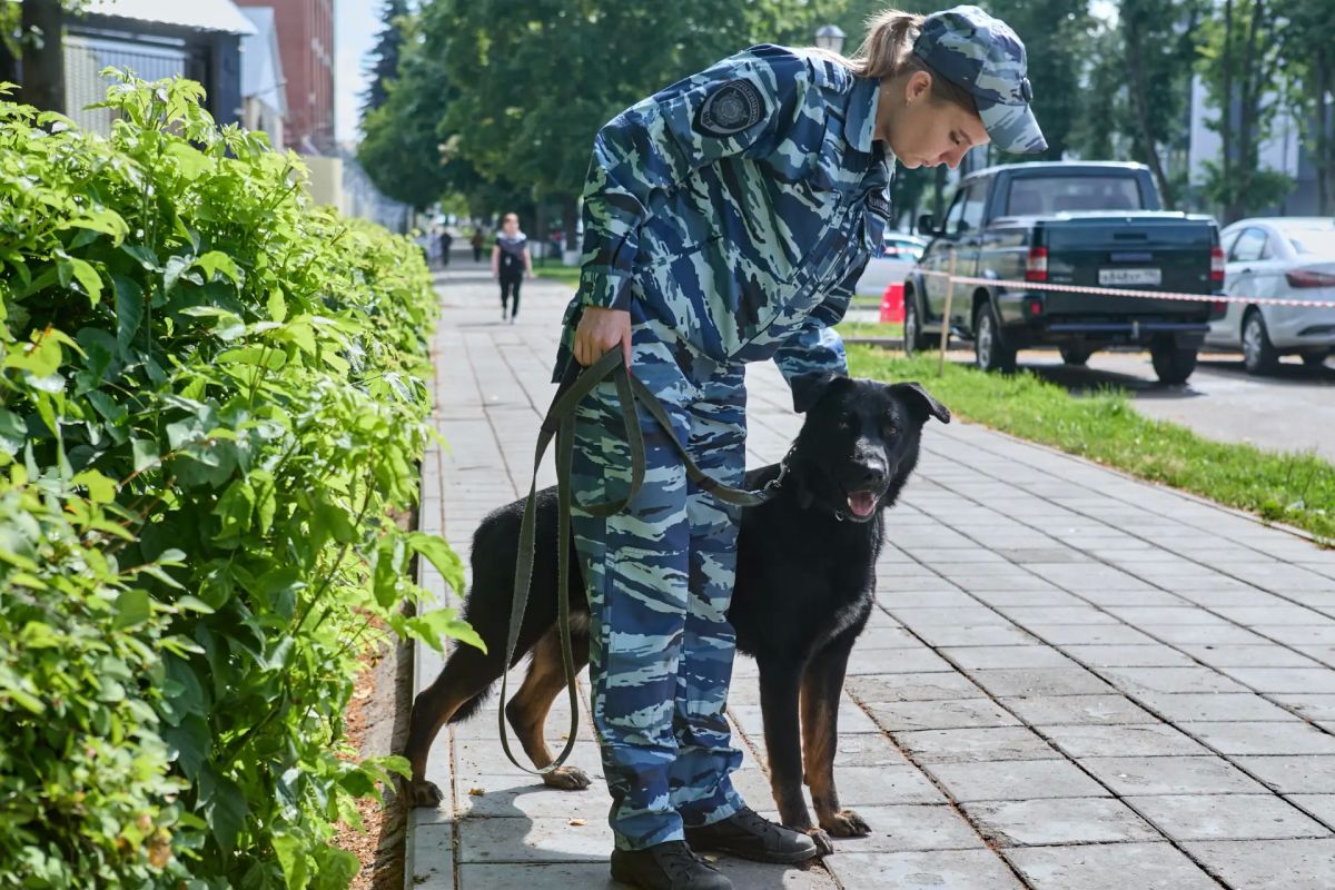 Масштабные учения по ликвидации последствий ЧС прошли в Балашихе Масштабные учения по ликвидации последствий ЧС прошли в Балашихе