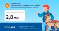 Школьники Подмосковья стали самыми активными участниками Всероссийской онлайн - олимпиады «Безопасность начинается с тебя»