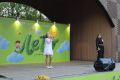 В Ступино отметили День семьи, любви и верности