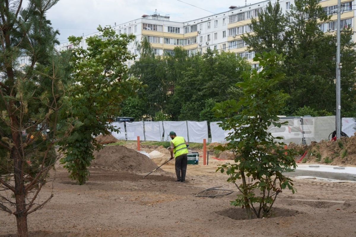 В сентябре в Ногинске завершат благоустройство Богородского бульвара и лесопарка «Волхонка» В сентябре в Ногинске завершат благоустройство Богородского бульвара и лесопарка «Волхонка»