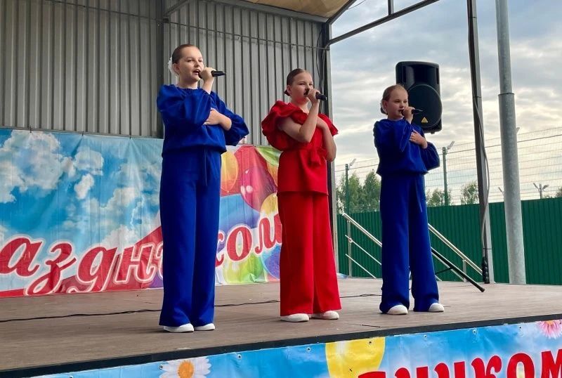 В деревне Чемодурово городского округа Воскресенск отметили День семьи, любви и верности В деревне Чемодурово городского округа Воскресенск отметили День семьи, любви и верности