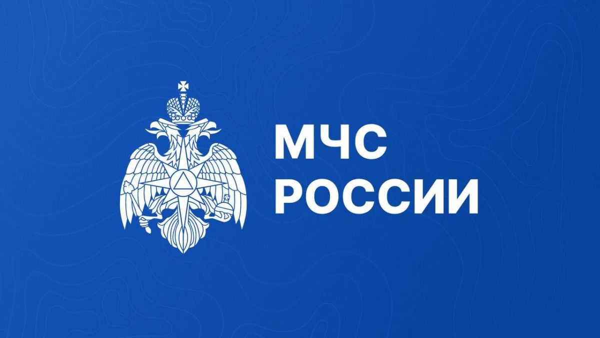 В Подмосковье проводится конкурс «Сила России в единстве и спасении»