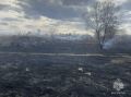 Сводка о палах травы в Московской области