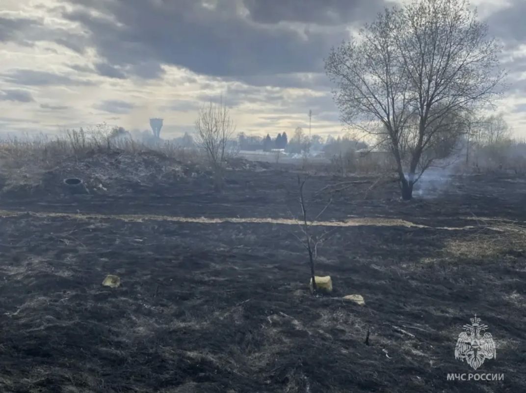 Сводка о палах травы в Московской области