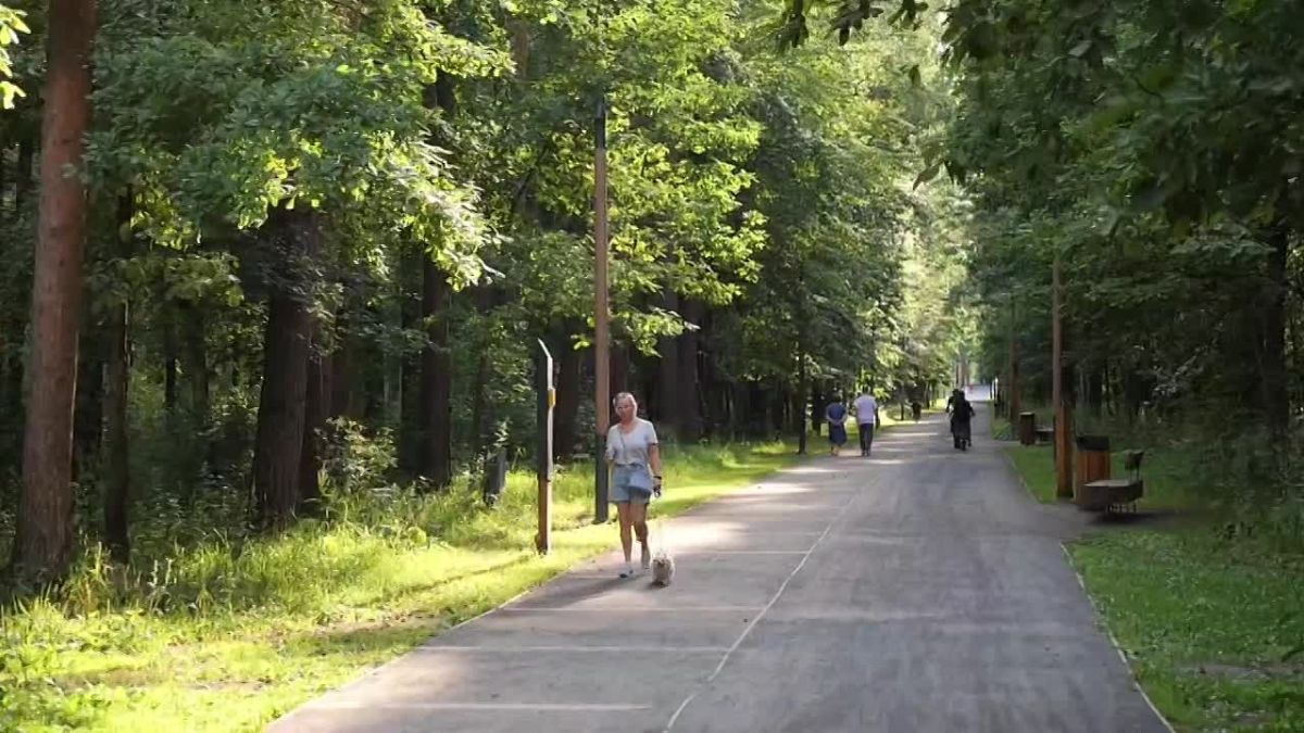 Вторую очередь благоустройства лесопарка «Лесная опушка» завершат в 2026 году