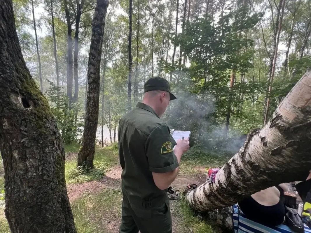 145 нарушений лесного законодательства выявлено в первом полугодии 145 нарушений лесного законодательства выявлено в первом полугодии