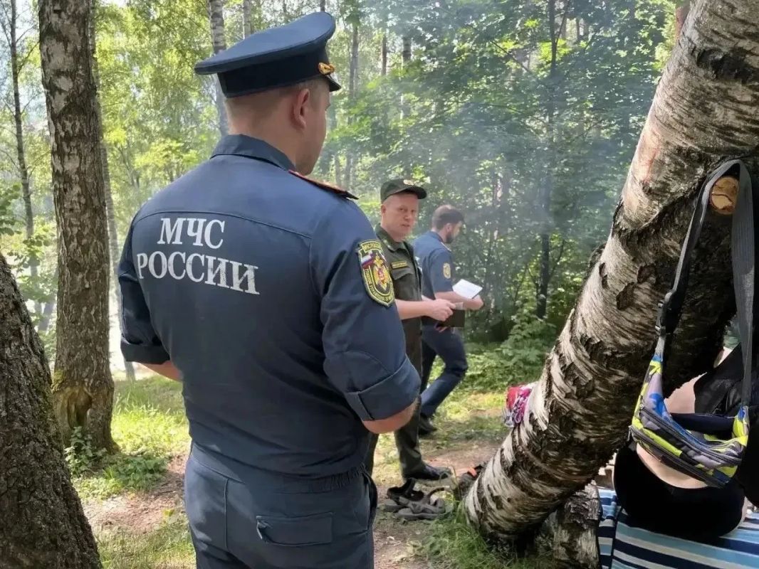 145 нарушений лесного законодательства выявлено в первом полугодии 145 нарушений лесного законодательства выявлено в первом полугодии