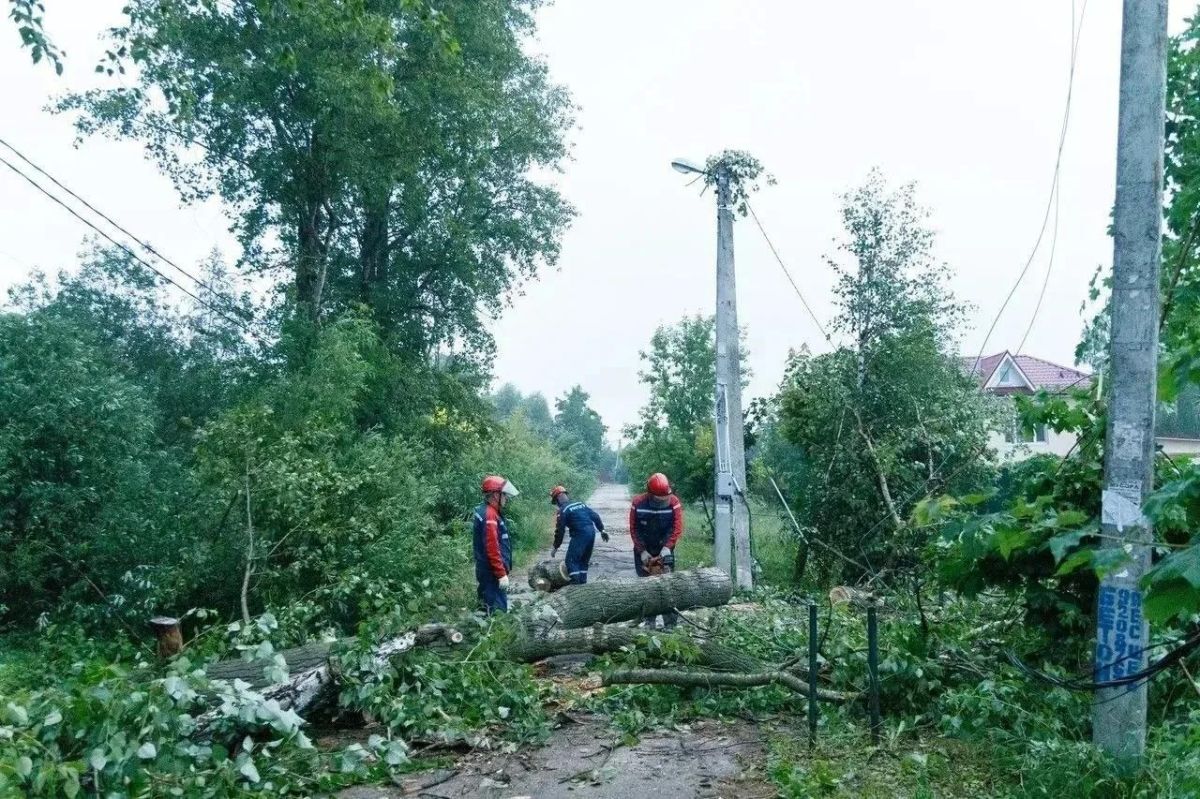 Циклон «Бернадетт»: в Подмосковье устраняют последствия непогоды Циклон «Бернадетт»: в Подмосковье устраняют последствия непогоды