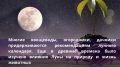 Секреты лунного календаря: Как посадки в саду подгоняют под фазы Луны