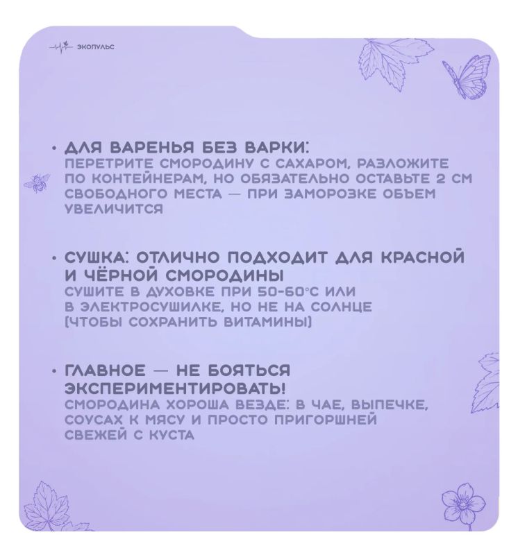 14 июля - Всемирный день смородины! 14 июля - Всемирный день смородины!