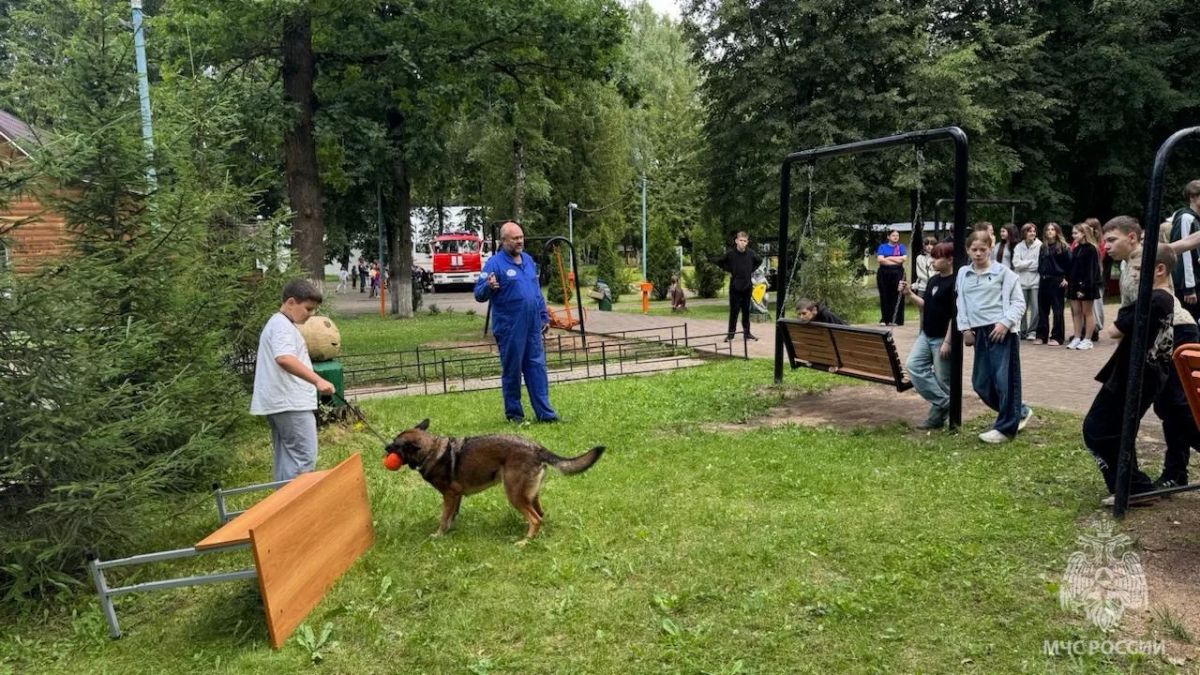 Безопасность доступна каждому Безопасность доступна каждому