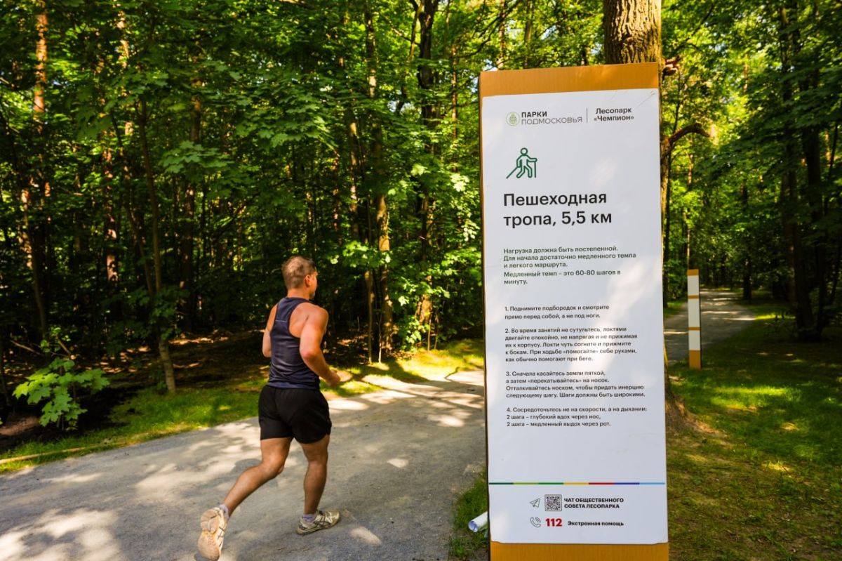 В Дзержинском г.о. Люберцы в прошлом году благоустроили лесопарк «Чемпион», а в этом планируют лесопарки «Лесная опушка» и «Связь с Волкушей» В Дзержинском г.о. Люберцы в прошлом году благоустроили лесопарк «Чемпион», а в этом планируют лесопарки «Лесная опушка» и «Связь с Волкушей»
