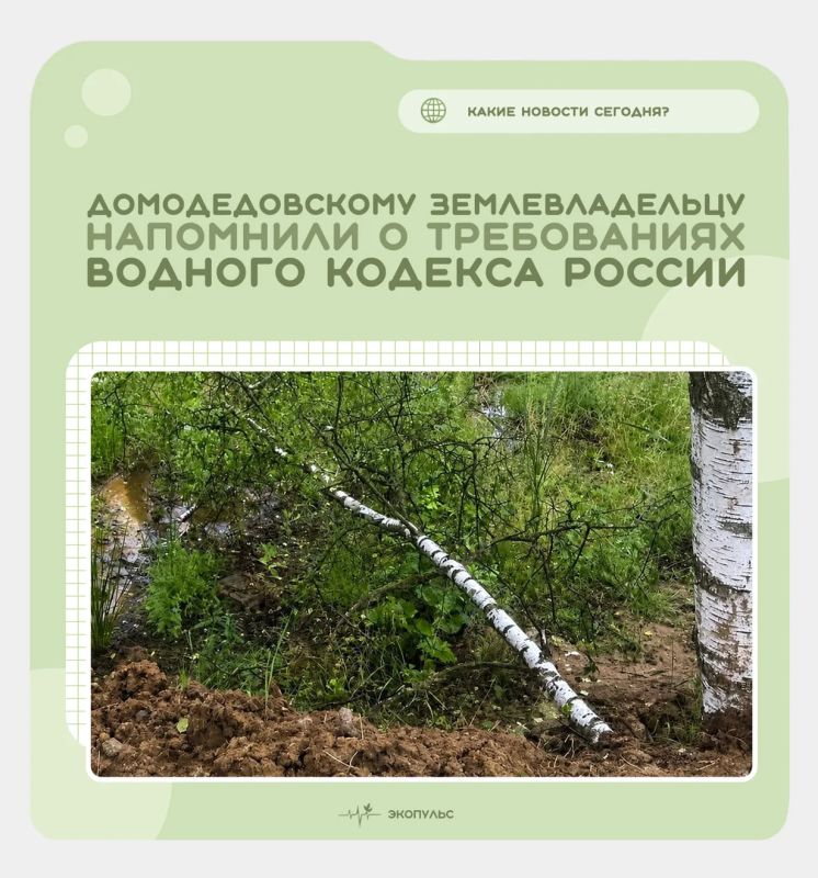 Специалисты Минэкологии МО провели выездную проверку в деревне Матчино на территории коттеджного поселка «Земляничная Поляна-2»