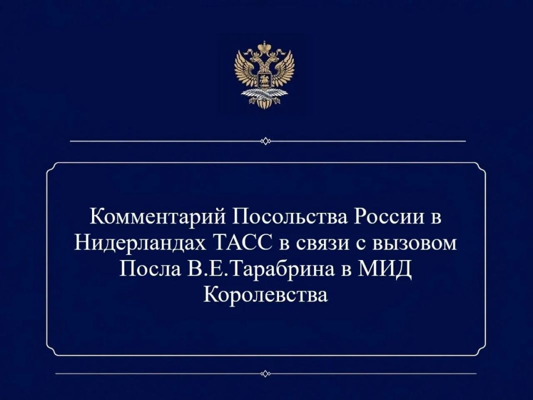 Посольство России в Нидерландах: