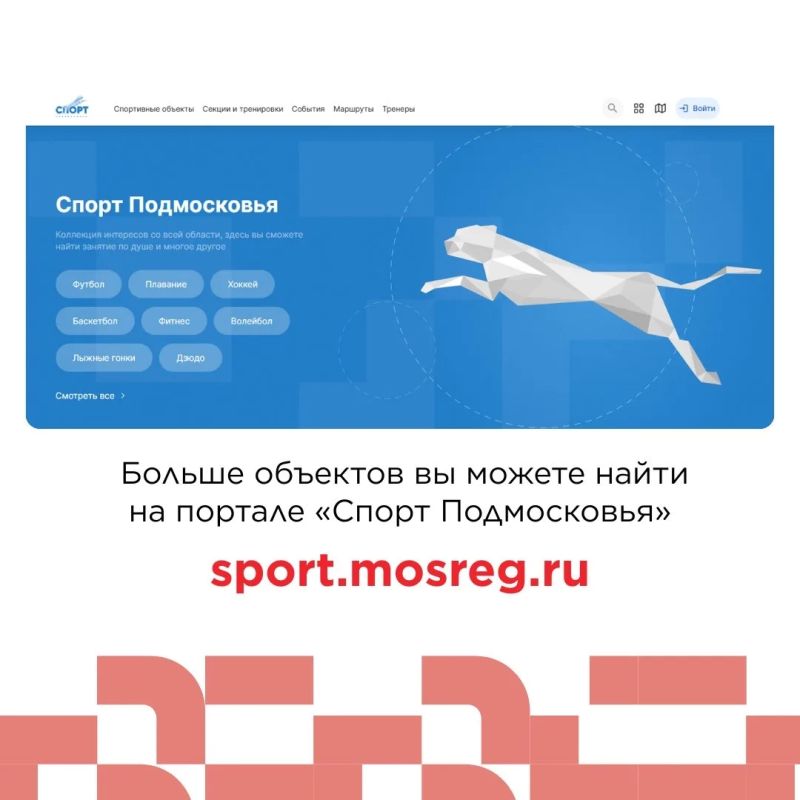 Где заняться спортом в Мытищах? Где заняться спортом в Мытищах?