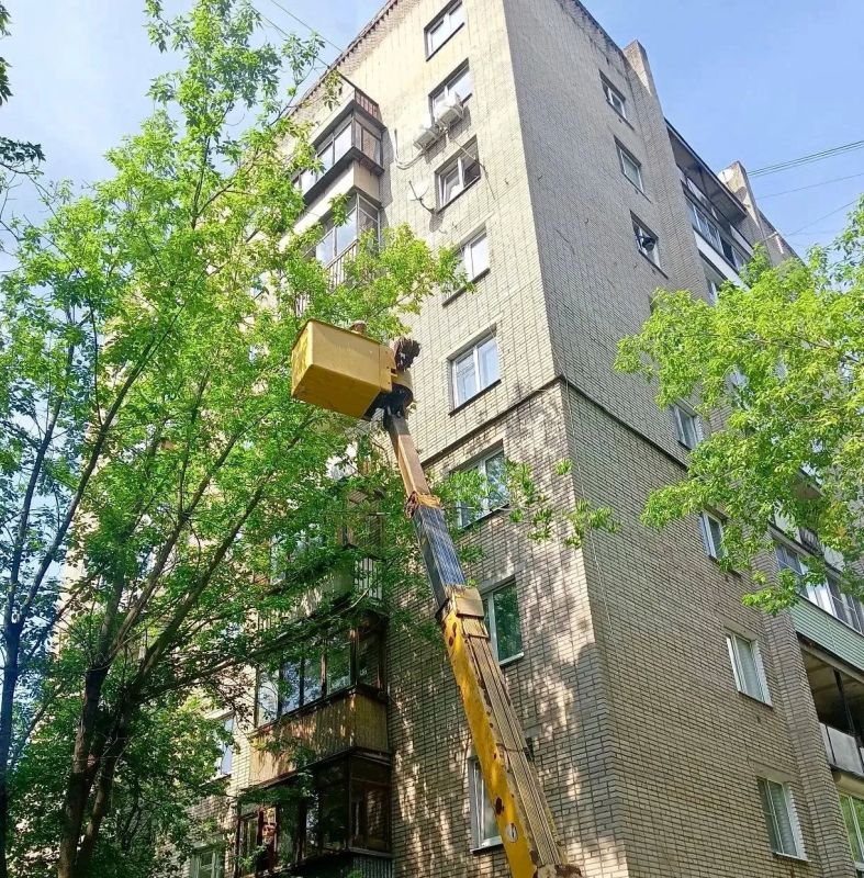 Более 120 аварийных деревьев опилили в Подмосковье за три дня Более 120 аварийных деревьев опилили в Подмосковье за три дня