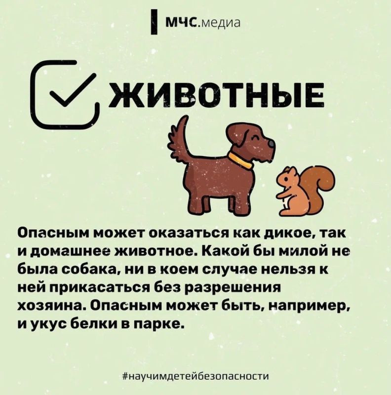 Безопасный отдых в городе: бережём наших детей! Безопасный отдых в городе: бережём наших детей!