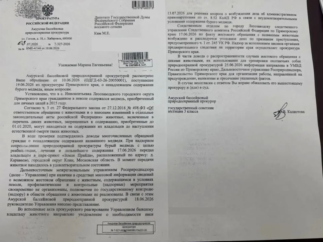 Марина Ким: По моему обращению в Приморье возбуждено уголовное дело о жестоком обращении с животным