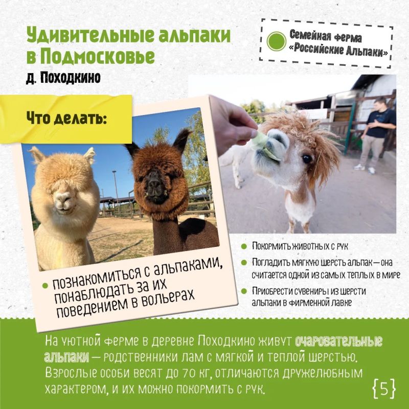 Выходные в Подмосковье: гигантские шлюзы, древние земляные валы и удивительные альпаки в одном маршруте по Дмитровскому округу Выходные в Подмосковье: гигантские шлюзы, древние земляные валы и удивительные альпаки в одном маршруте по Дмитровскому округу