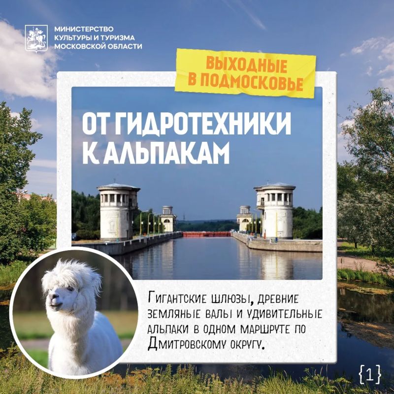Выходные в Подмосковье: гигантские шлюзы, древние земляные валы и удивительные альпаки в одном маршруте по Дмитровскому округу