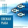 Свежая камбала и минта, как по свежим следам: не пропустите особую распродажу