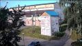 Американские булли напали на пятилетнего ребенка в Подмосковье