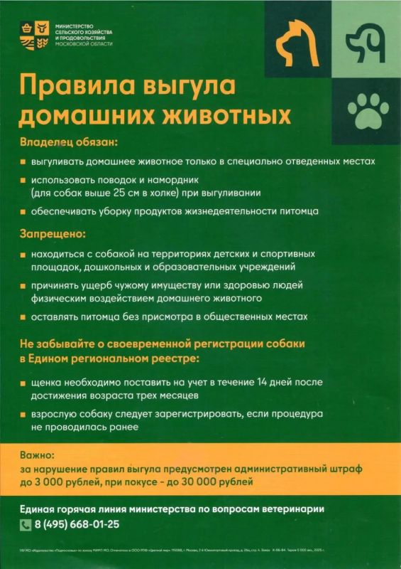 Ответственный выгул домашних животных — это забота не только о питомце, но и о безопасности окружающих