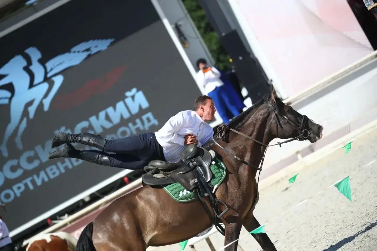 В щёлковском конно-спортивном комплексе «Звёздный» прошел чемпионат мира по джигитовке В щёлковском конно-спортивном комплексе «Звёздный» прошел чемпионат мира по джигитовке