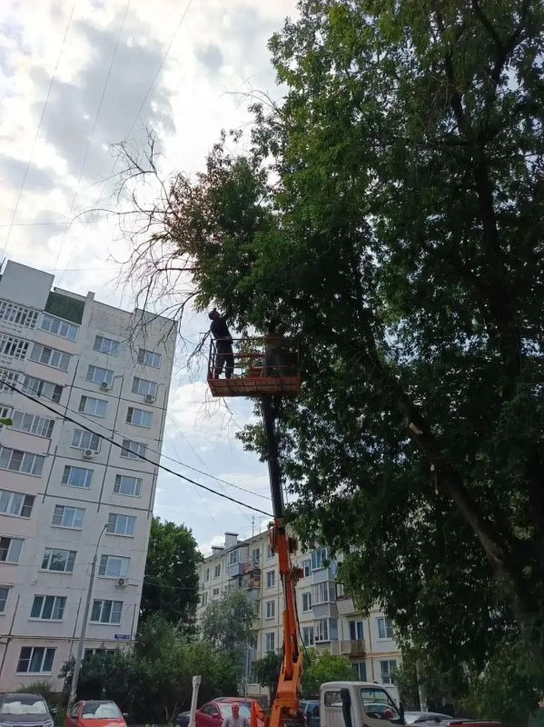 Глава городского округа Щёлково Андрей Булгаков провёл еженедельное оперативное совещание Глава городского округа Щёлково Андрей Булгаков провёл еженедельное оперативное совещание