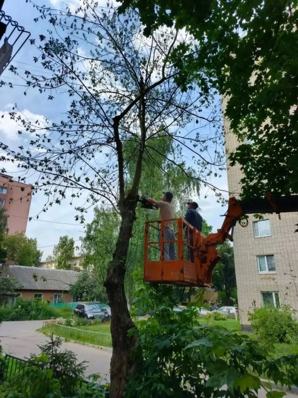 Глава городского округа Щёлково Андрей Булгаков провёл еженедельное оперативное совещание Глава городского округа Щёлково Андрей Булгаков провёл еженедельное оперативное совещание