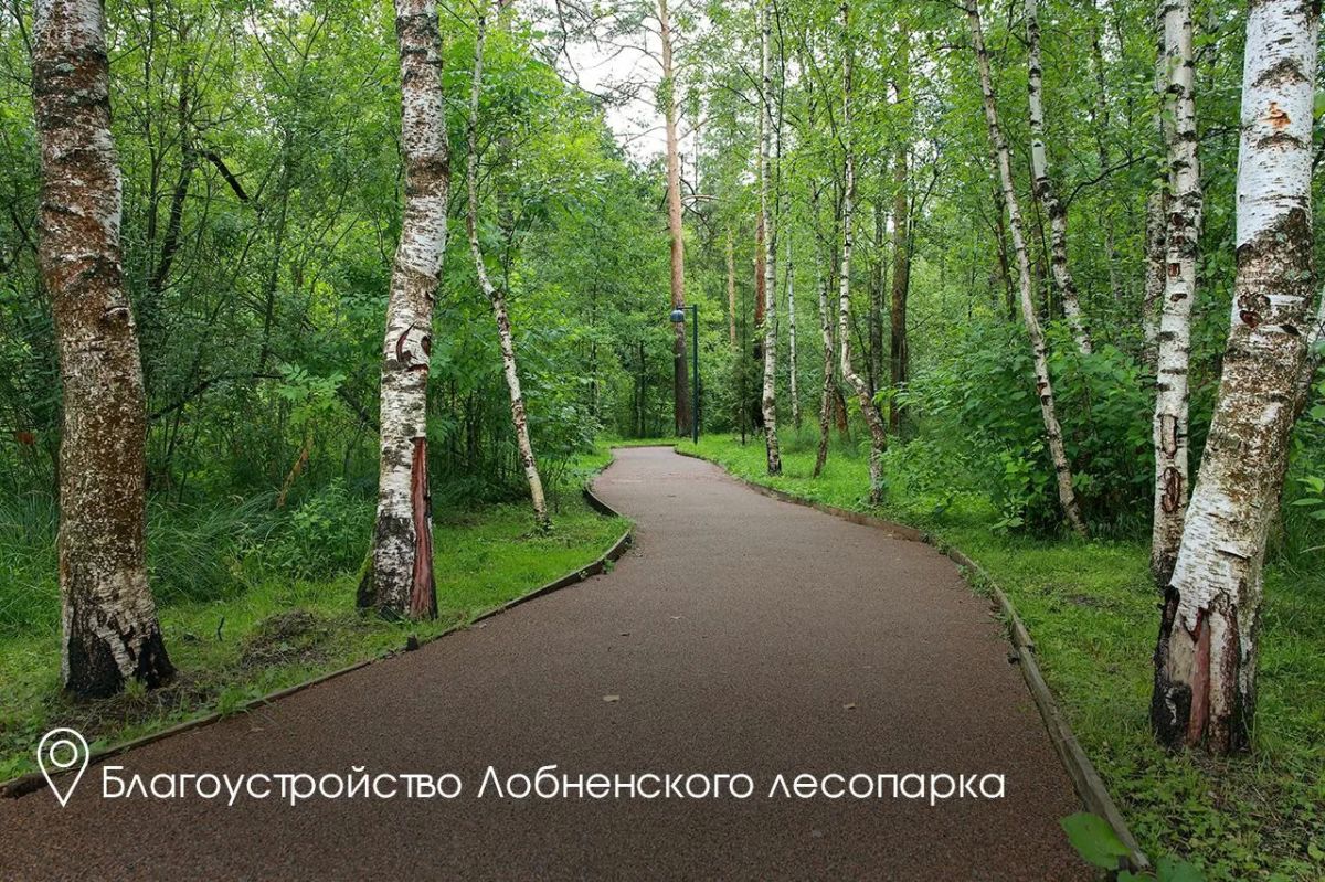 Андрей Воробьев: В Лобне к 12 сентября — Дню города — завершим благоустройство набережной пруда «Москвич» Андрей Воробьев: В Лобне к 12 сентября — Дню города — завершим благоустройство набережной пруда «Москвич»