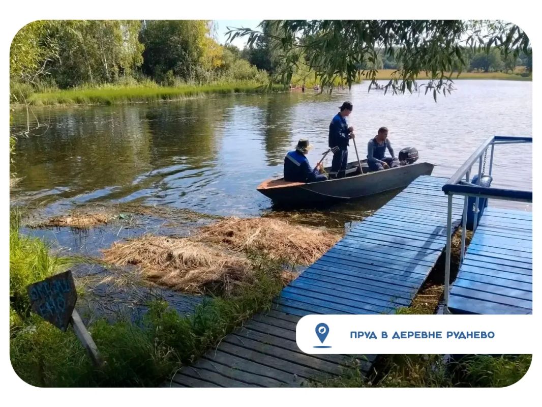 В городском округе Кашира сразу на трех водоемах ведутся работы