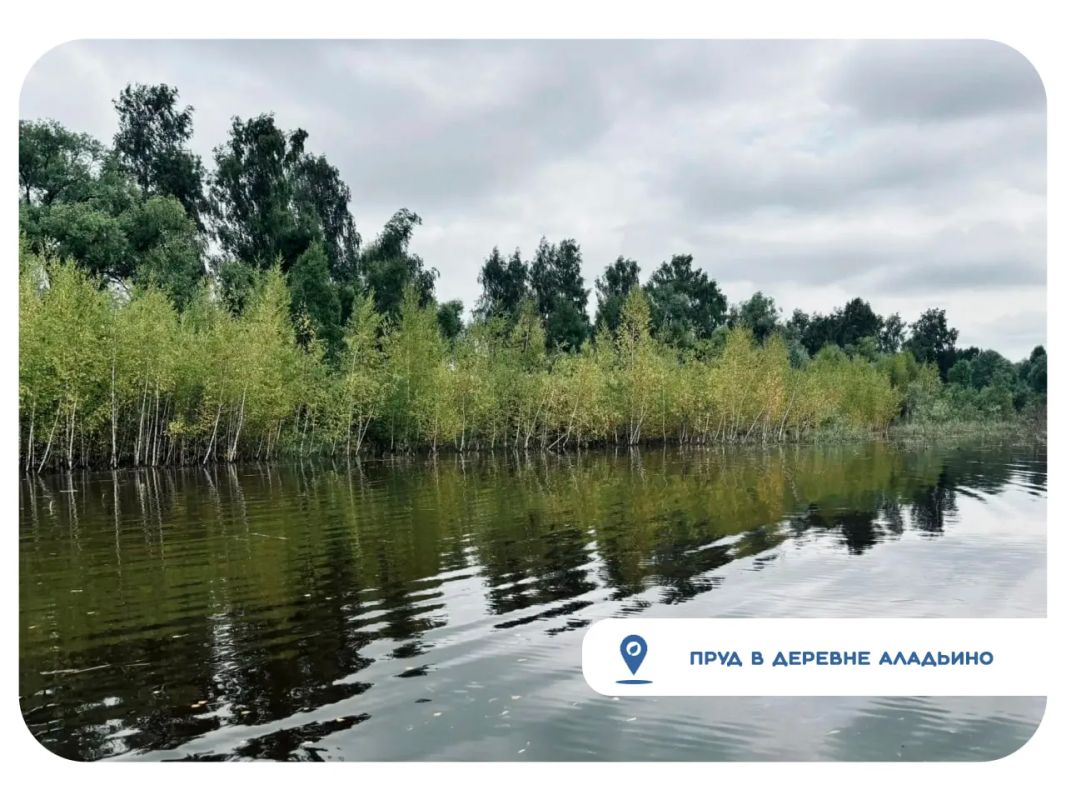 В городском округе Кашира сразу на трех водоемах ведутся работы В городском округе Кашира сразу на трех водоемах ведутся работы