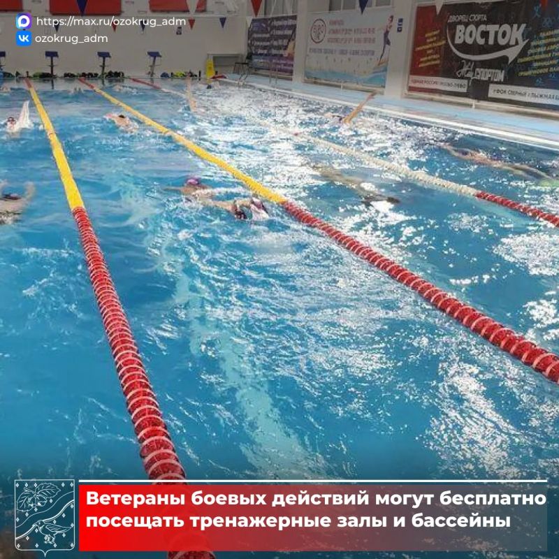 Ветераны боевых действий в Орехово-Зуевском округе могут воспользоваться муниципальными мерами поддержки, которые охватывают разные сферы жизни