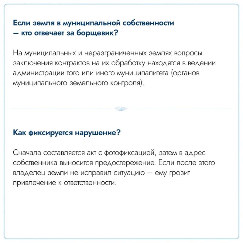 В Подмосковье в 2026 году от борщевика обработано 11,5 тысячи га земель В Подмосковье в 2026 году от борщевика обработано 11,5 тысячи га земель